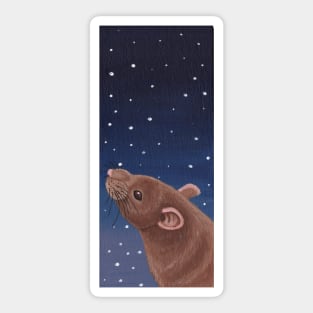 Silver Fawn Rat Stargazing Sticker